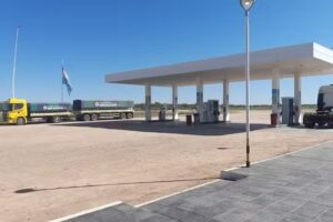 Algarrobo del Aguila