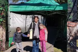 Cremas org&aacute;nicas, dolores e inflamaciones y piel!