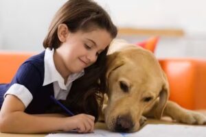 Distribuidora Rivera