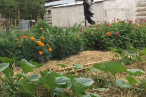 E.E.S. N&deg; 6 EL RELINCHO