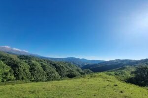 Escuela Nº 324 – Mala mala