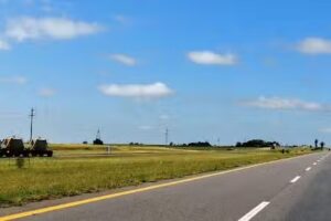 Establecimiento El Sauce