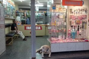 Farmacia Armon&iacute;a