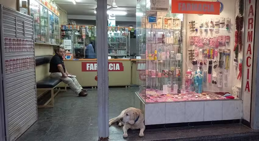 Farmacia Armon&iacute;a