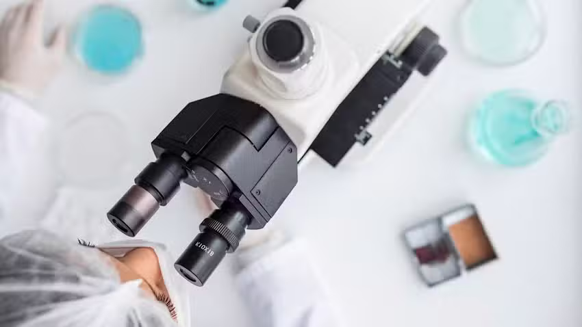 Farmacia del Jard&iacute;n