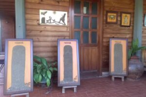 Farmacia La Peregrina