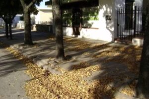 Farmacia Norma Rubiolo