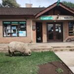 Farmacia San Agust&iacute;n