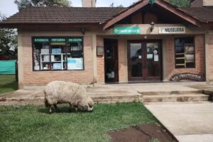 Farmacia San Agust&iacute;n