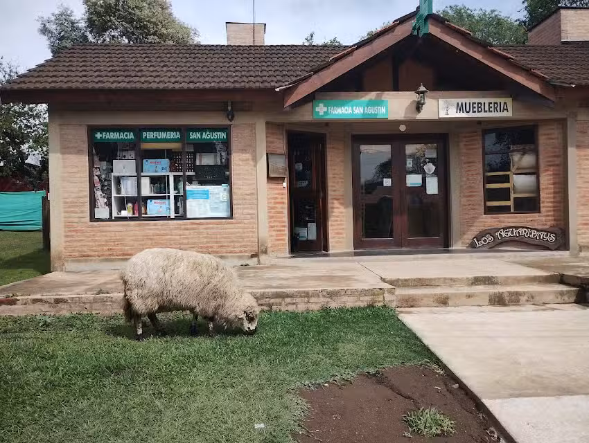 Farmacia San Agust&iacute;n