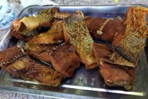 Farmacia San Marcos 2