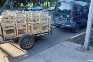 Farmacia Santa Teresita