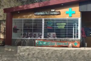 Farmacia Suyai