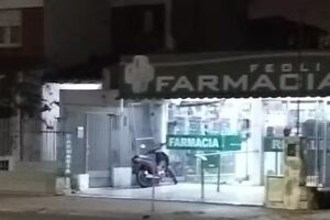 Feoli Farmacia