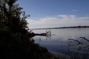 GABRIELA A. CASCIANI