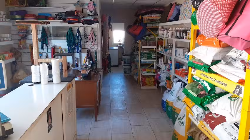 LABORATORIO VETERINARIO ALFONZO