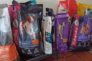 Pet Shop Firulais Farmacia veterinaria Cl&iacute;nica Fructuoso Rivera