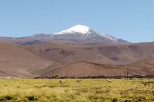 Santa rosa de los pastos grandes