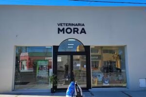 Veterinaria Mora