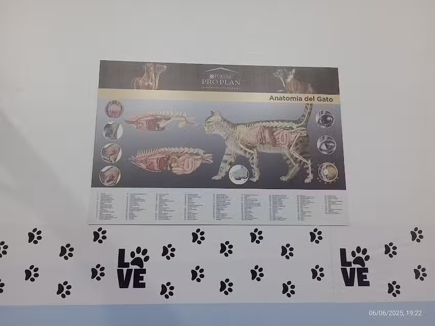 Veterinaria Plus Adrogu&eacute;