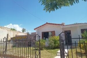 Veterinaria San Nicol&aacute;s