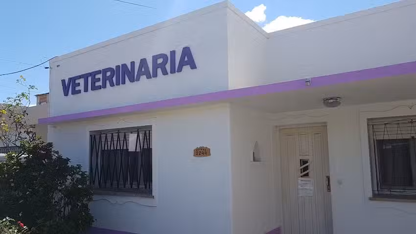 Veterinaria Villa Altube